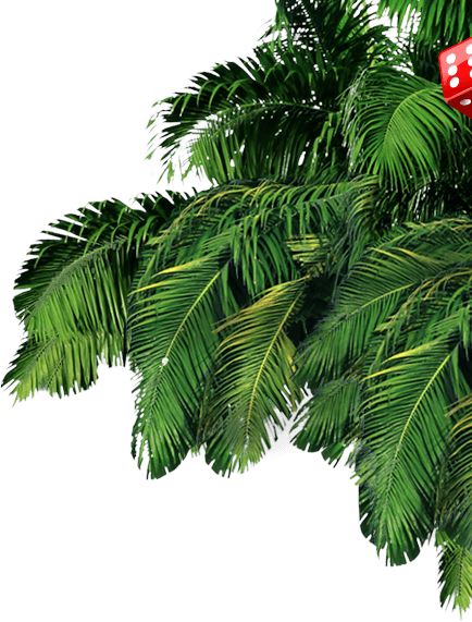 Palm tree background image